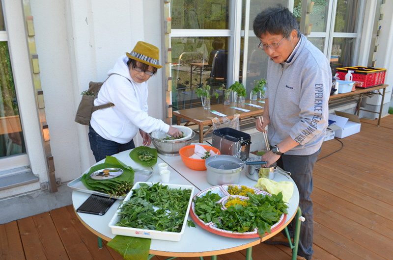 ゴールデンウィーク企画 道草を食べよう！